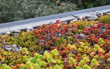 the cost of Waterheads green roof installation