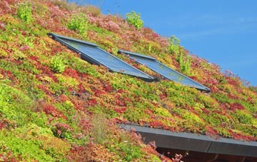 Waterheads living roof systems
